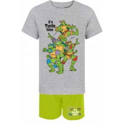 copy of Teenage Mutant...